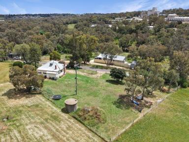 House For Sale - NSW - Young - 2594 - Potential Plus  (Image 2)