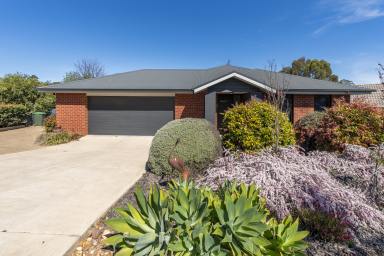 House For Sale - NSW - Coolamon - 2701 - Exceptional Coolamon Home (Image 2)