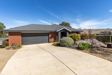 House For Sale - NSW - Coolamon - 2701 - Exceptional Coolamon Home (Image 2)