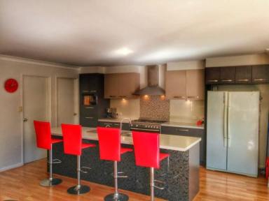 House For Lease - NSW - Bonville - 2450 - Luxury 4 Bedroom House & Yard in exclusive circuit opposite National Park  (Image 2)