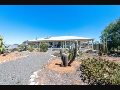 Acreage/Semi-rural For Sale - SA - Black Hill - 5353 - Homestead within the Beautiful Marne Valley. (Image 2)