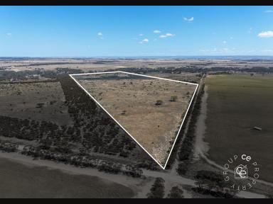 Acreage/Semi-rural For Sale - SA - Black Hill - 5353 - Homestead within the Beautiful Marne Valley. (Image 2)