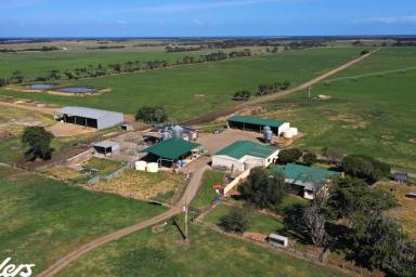 Dairy For Sale - VIC - Woodside - 3874 - "LOCHIEL" - 517 ACRES (Image 2)