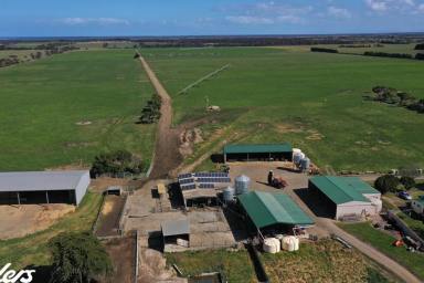 Dairy For Sale - VIC - Woodside - 3874 - "LOCHIEL" - 517 ACRES (Image 2)