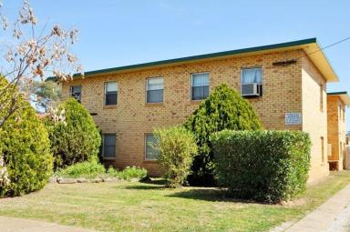 Unit For Lease - NSW - Tamworth - 2340 - Tidy Unit in South Tamworth  (Image 2)
