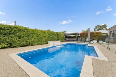 House For Sale - VIC - Mildura - 3500 - SPACE TO LIVE, ROOM TO ENTERTAIN (Image 2)