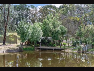 Acreage/Semi-rural For Sale - SA - Kersbrook - 5231 - Your own private sanctuary  (Image 2)