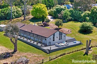 House Auction - NSW - Moss Vale - 2577 - The Ultimate Country Sanctuary: Acreage Living on the Edge of Town  (Image 2)