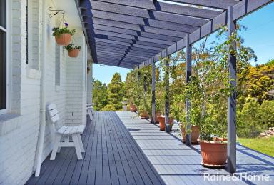 House Auction - NSW - Moss Vale - 2577 - The Ultimate Country Sanctuary: Acreage Living on the Edge of Town  (Image 2)