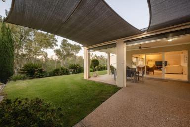 House For Sale - NSW - Gol Gol - 2738 - A QUIETER WAY OF LIFE (Image 2)
