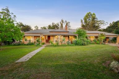 Lifestyle For Sale - VIC - Sheans Creek - 3666 - 50 Acres* in the Sheans Creek Valley - Brick Home, Workshop Shedding, Kennel Shed & Substantial Dam  (Image 2)