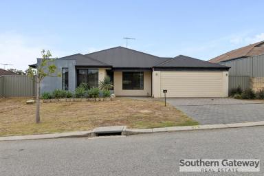 House For Sale - WA - Leda - 6170 - SPACIOUS FAMILY LIVING ON A 555m² BLOCK - NEARLY 200m² OF LIVING SPACE!  (Image 2)