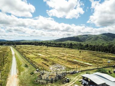 Lifestyle For Sale - QLD - Koah - 4881 - LIFESTYLE FARMING WITH RIVER FRONTAGE  (Image 2)