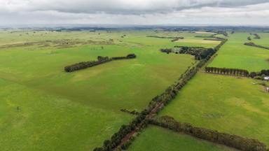 Livestock For Sale - VIC - Gerrigerrup - 3289 - Tightly Held – Generational Gerrigerrup Country  (Image 2)