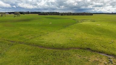 Livestock For Sale - VIC - Gerrigerrup - 3289 - Tightly Held – Generational Gerrigerrup Country  (Image 2)
