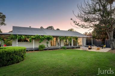 Lifestyle For Sale - NSW - Broke - 2330 - Redgate Farm  (Image 2)