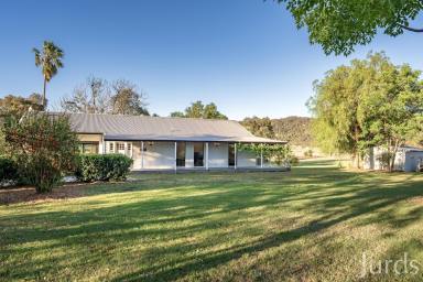 Lifestyle For Sale - NSW - Broke - 2330 - Redgate Farm  (Image 2)