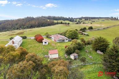 Farmlet For Sale - TAS - Lower Wilmot - 7310 - "BAUNATAL" - LIFESTYLE FARMLET - 44 ACRES (Image 2)