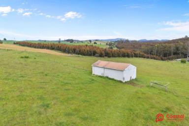 Farmlet For Sale - TAS - Lower Wilmot - 7310 - "BAUNATAL" - LIFESTYLE FARMLET - 44 ACRES (Image 2)
