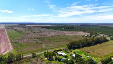 Horticulture For Sale - QLD - Meadowvale - 4670 - 177 ACRE HORTICULTURE OPPORTUNITY  (Image 2)