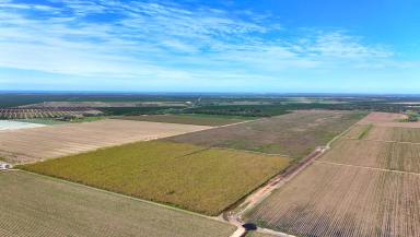 Horticulture For Sale - QLD - Meadowvale - 4670 - 177 ACRE HORTICULTURE OPPORTUNITY  (Image 2)