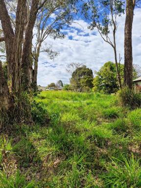 Residential Block For Sale - QLD - Ravenshoe - 4888 - Vacant block of land close to town (Image 2)