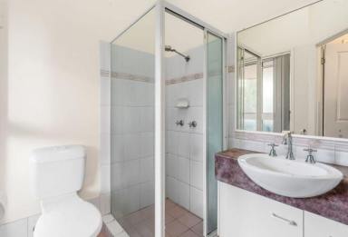 Townhouse For Lease - QLD - Palm Beach - 4221 - Beachside Living in Palm Beach (Image 2)