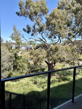 Apartment For Sale - VIC - Bundoora - 3083 - 79/103 Janefield Drive, Bundoora  (Image 2)