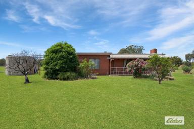 House For Sale - VIC - Woodvale - 3556 - Double Brick Retro Home on 64.5 Peaceful Acres  (Image 2)