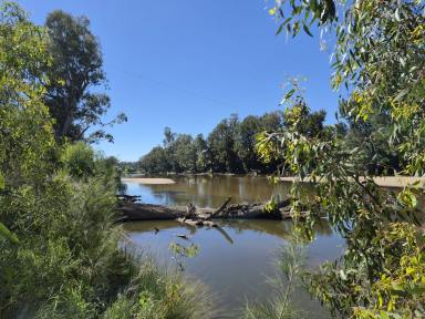 House For Sale - NSW - Jugiong - 2726 - Unique Home on the banks of the Murrumbidgee (Image 2)
