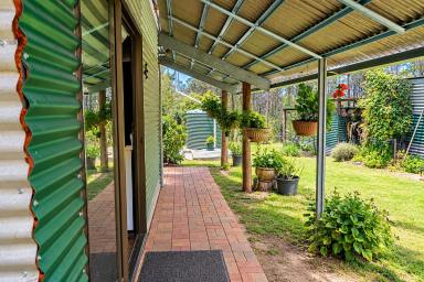 Lifestyle For Sale - NSW - Bulldog - 2469 - OFF-GRID GRAZING PARADISE – ROOM TO ROAM  (Image 2)