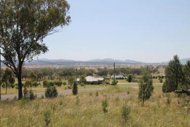 Lifestyle For Sale - NSW - Quirindi - 2343 - LIFESTYLE WITH FANTASTIC VIEWS  (Image 2)