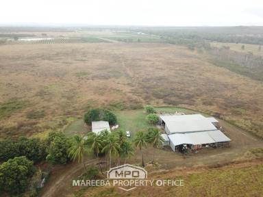 Cropping Sold - QLD - Mutchilba - 4872 - ARABLE LAND WITH WALSH RIVER ASPECT  (Image 2)