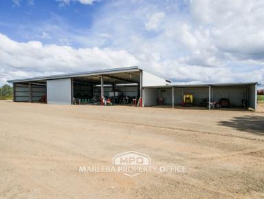 Cropping For Sale - QLD - Dimbulah - 4872 - FARMING/LIFESTYLE - YOU CHOOSE  (Image 2)