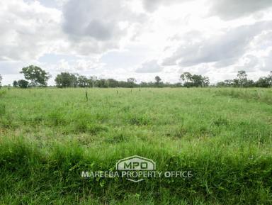 Cropping For Sale - QLD - Dimbulah - 4872 - FARMING/LIFESTYLE - YOU CHOOSE  (Image 2)