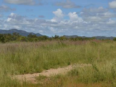 Lifestyle For Sale - QLD - Dimbulah - 4872 - ON THE WALSH - RURAL RESIDENTIAL LAND WITH RANGE OF OPTIONS  (Image 2)