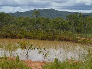 Lifestyle For Sale - QLD - Dimbulah - 4872 - ON THE WALSH - RURAL RESIDENTIAL LAND WITH RANGE OF OPTIONS  (Image 2)