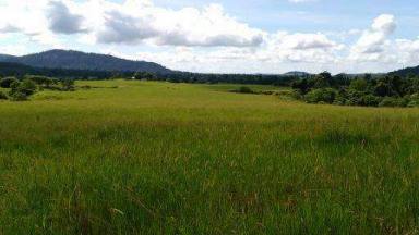 Mixed Farming For Sale - QLD - Japoonvale - 4856 - This Property has it all !  (Image 2)