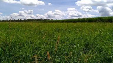 Mixed Farming For Sale - QLD - Silkwood - 4856 - Cane & Cattle  (Image 2)