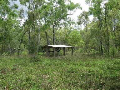 Lifestyle For Sale - QLD - Mount Molloy - 4871 - Historic Wetherby Station subdivides ideal lifestyle bush blocks  (Image 2)