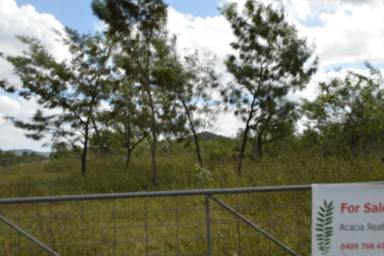 Mixed Farming For Sale - NT - Adelaide River - 0846 - 50 Plus Acres  (Image 2)