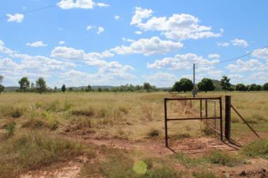Mixed Farming For Sale - NT - Adelaide River - 0846 - 50 Plus Acres  (Image 2)