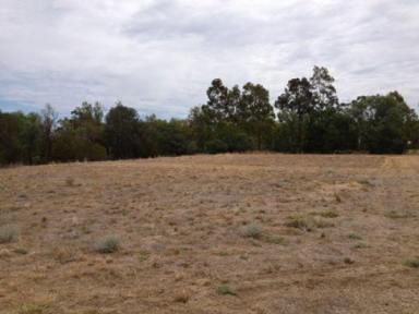 Residential Block For Sale - NSW - Moree - 2400 - Greenbah Acreage  (Image 2)