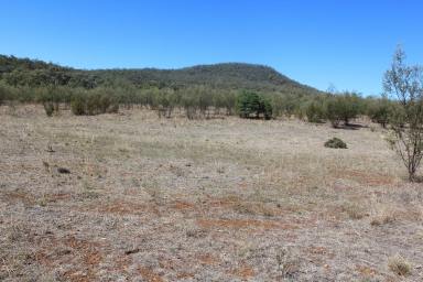 Other (Rural) For Sale - NSW - Bellata - 2397 - FARMING COUNTRY IN BELLATA  (Image 2)
