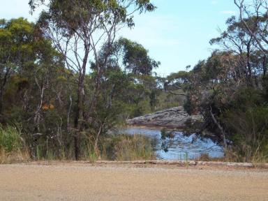 Residential Block For Sale - WA - Hopetoun - 6348 - Acreage by the River  (Image 2)