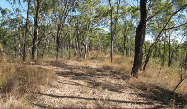 Residential Block For Sale - QLD - O'Connell - 4680 - 24 ACRES OF SECLUSION  (Image 2)