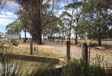 Lifestyle For Sale - VIC - Nambrok - 3847 - LOCATION AND WATER ON 30 ACRES!  (Image 2)