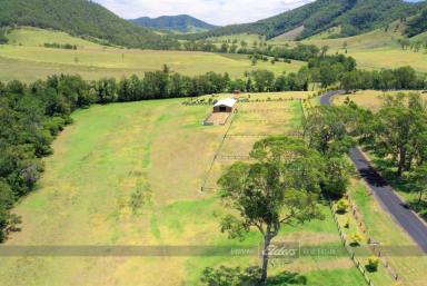 Lifestyle For Sale - NSW - Gloucester - 2422 - HORSE LOVERS HAVEN ON GLOUCESTER RIVER  (Image 2)