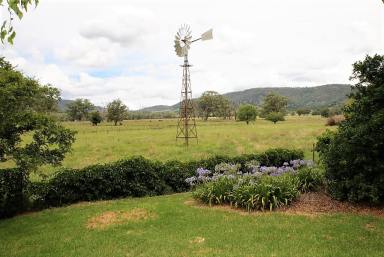 Mixed Farming For Sale - NSW - Quirindi - 2343 - "SONNBORRA"  BUNDELLA  (Image 2)
